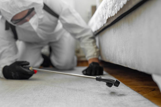 Professional Termite Control technician working in Balmville, NY