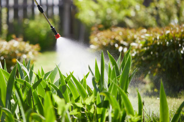 24/7 Emergency Termite Control experts in Balmville, NY