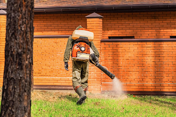 Trusted Bed Bug Control service in Balmville, NY - Nex Pest Control